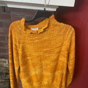 Fall sweater excellent condition